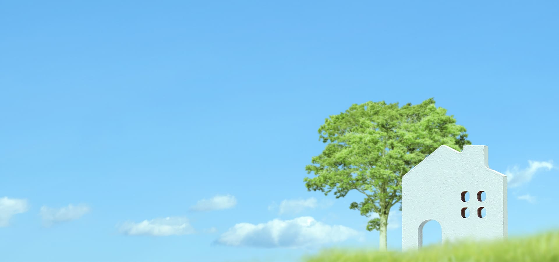 メインビジュアル01（PC）